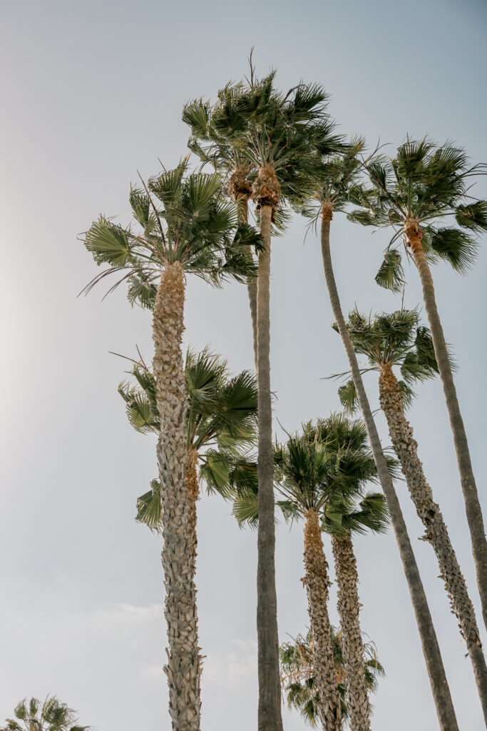 Regent Santa Monica Beach Wedding